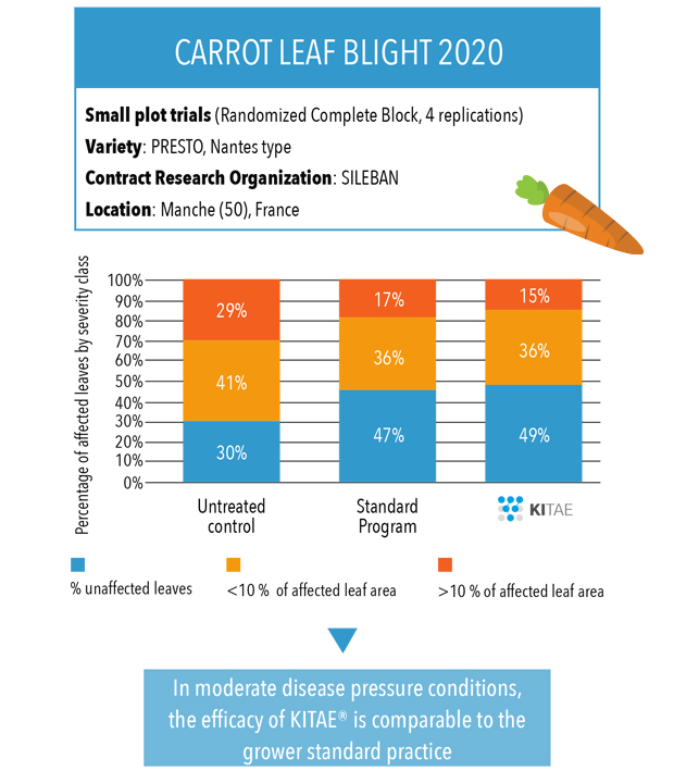 Carrot trial: natural fungicide crop protection