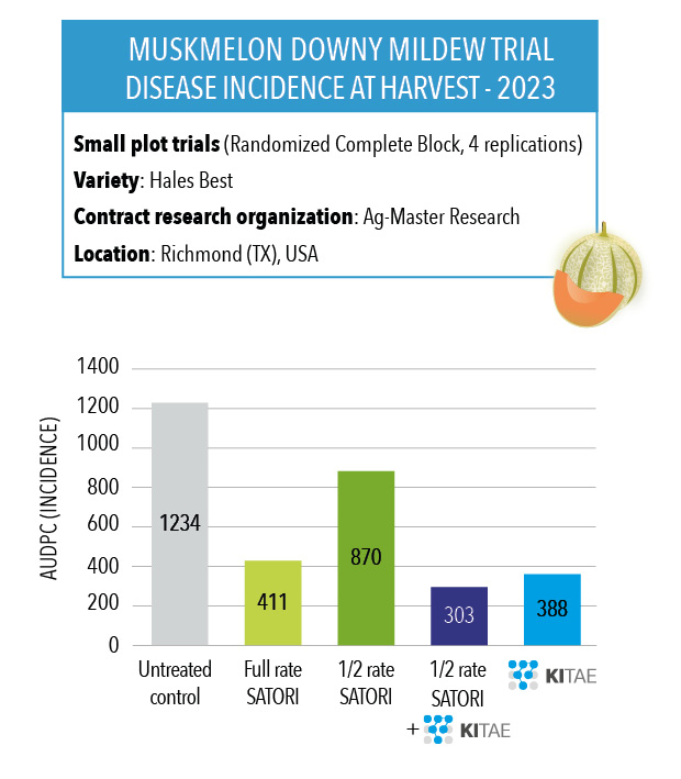 Melon trial: natural fungicide crop protection